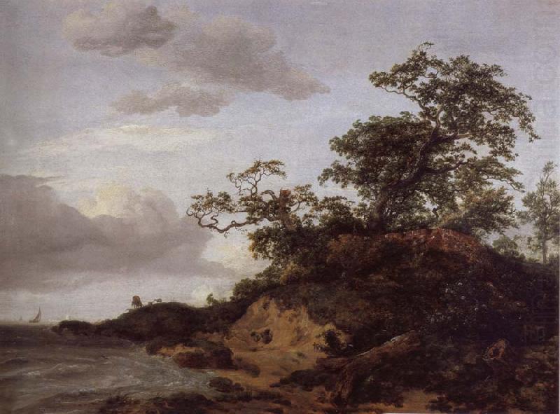 Jacob van Ruisdael Dunes by the sea china oil painting image